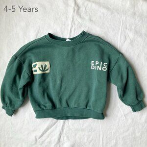 💙2/$25 Zara 4-5 Years Toddler Dinosaur Green Crewneck Sweatshirt